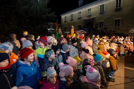 pozdrav zimi in praznik luči _ 2024 (33)